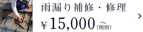 雨漏り修理・補修